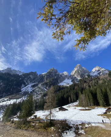 b2f4869953865d063c8d0efe93684350_1742733947_0634.jpg