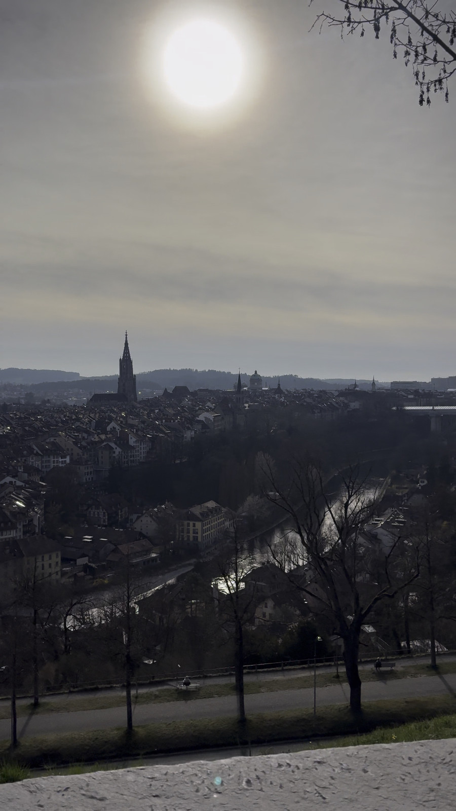 45f859a5b5090163f861d75d0025a6d8_1743434524_2264.jpeg