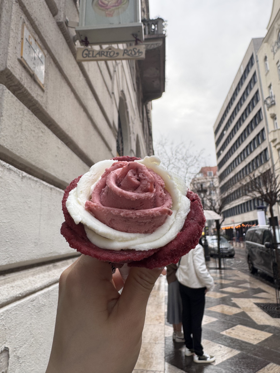 d7623204425f6edb3824b9c31bb96b87_1743657987_2845.jpeg